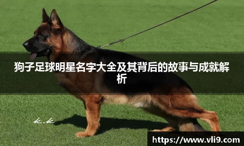狗子足球明星名字大全及其背后的故事与成就解析