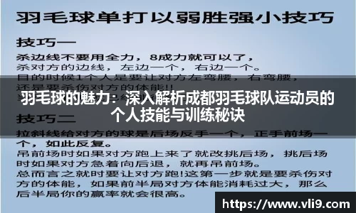 羽毛球的魅力：深入解析成都羽毛球队运动员的个人技能与训练秘诀